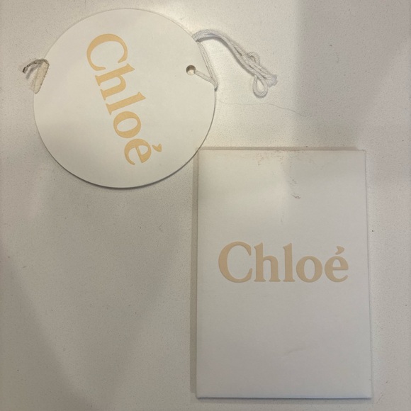 Chloe Suede Calfskin Faye Backpack - Picture 10 of 10